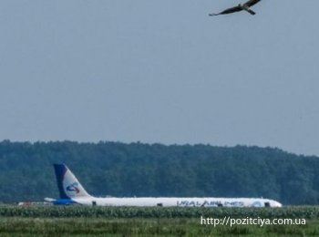 Под Москвой Airbus A321 совершил жесткую посадку: число пострадавших выросло до 74 Под Москвой Airbus A321 совершил жесткую посадку: число пострадавших выросло до 74