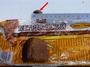 ��������� ���� �� ������ ���� � ����� ������� � �����