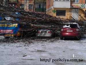 �� ���������������� ������ ��������� ����� ��� ���������� (����)