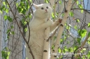 � ����� ������ ������ � ����