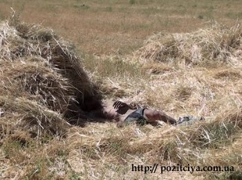 В поле под Мелитополем обнаружен труп мужчины