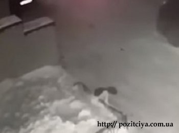 В России девочка выпала с 4-го этажа и не получила травм