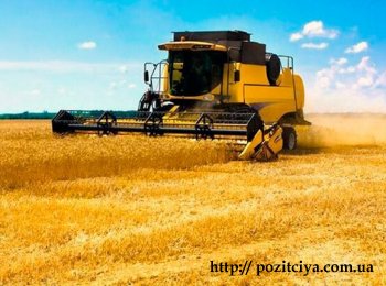 Каковы перспективы украинских аграриев?