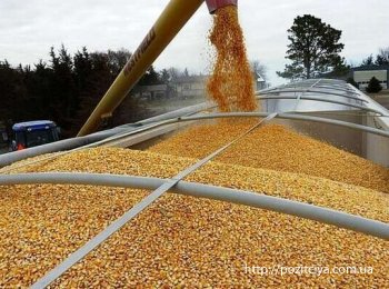 Курс мародеров: украинское зерно может «всплыть» в Сирии