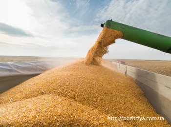 Украденное в Украине зерно «всплыло» в Сирии
