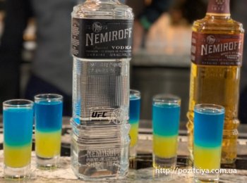   Nemiroff        