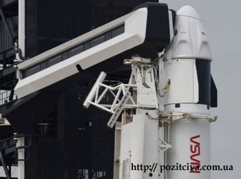     SpaceX     Starship