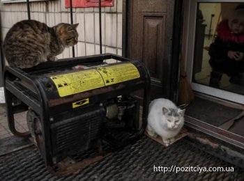 � ������ �������� �91 ��� �� ����� ��, ����������� ��� ������