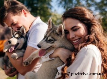 ����������� ������������ ������ ��� ����: ��������, ���������� � � ������