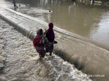 � ͳ��� �������� ������ �������� 117 �����