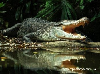 � ������糿 �������� �'�� ������ ���� �� �� �����