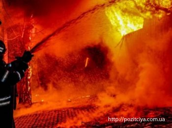 ��������� ����� ����� �� �����: ����������� 11 �������