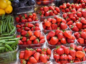  � ������ ������ ������� ��������: ���� ���� �������