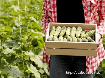 � ������ ����������� �����: ��������� ���� ������ 2025