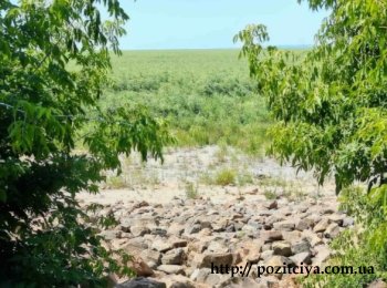 🌿 ������� ��� ���� ����� ��������� ����������� ����������� ������ � ���� ��� ������ � �������