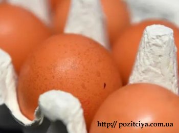 🍗 �������� �� ���� ����� �������� ������ ����������� �� 15−20%