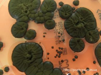 ��������� ������� � ���������: �� �����, �� ����������� ��������, ������ ��������� �������