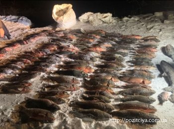 � ����������� ������ ��������� ���������� �� ����� 400 �� ����