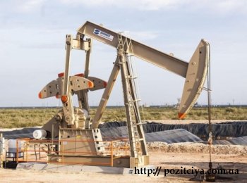 ֳ�� �� ����� ����� ����� �� 5% ���� ����� ������ ��� ���������� � ������