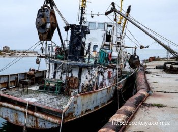 ����� ������ ������ ����� � ��� �������� �� 50 ����